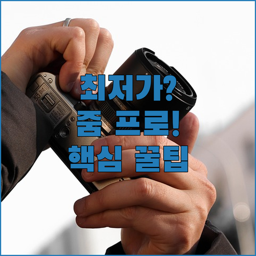 정품 계정을 최저가로 이용하는 줌 프..