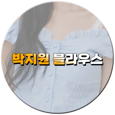 한블리 133회 박지원 블라우스