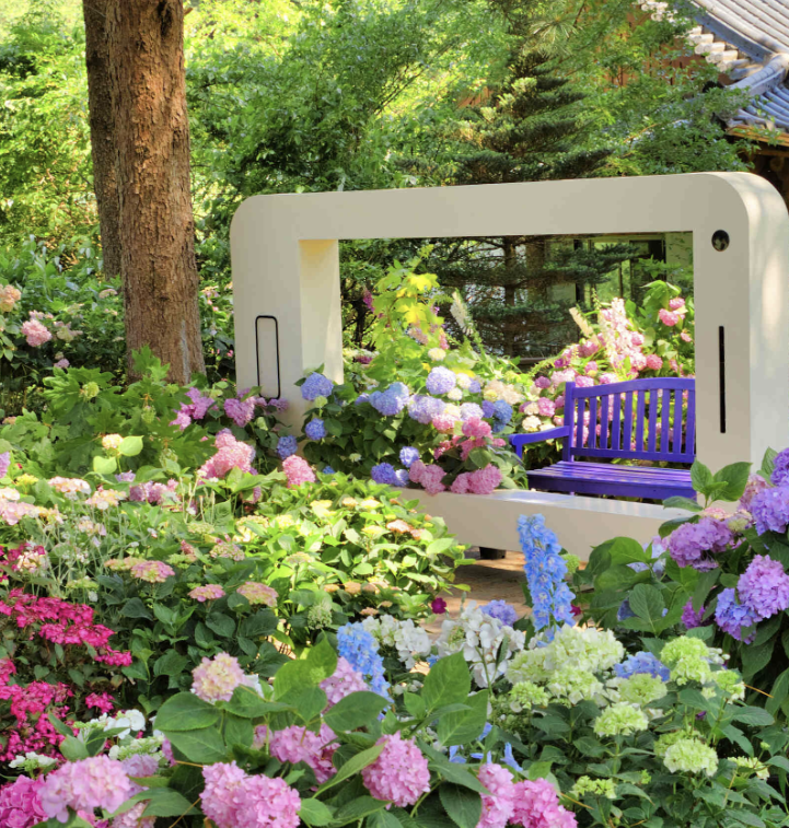 아침고요수목원