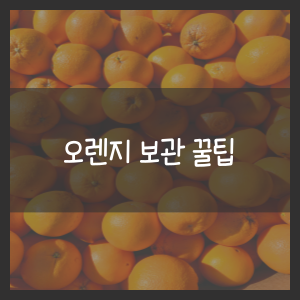 오렌지 보관 꿀팁