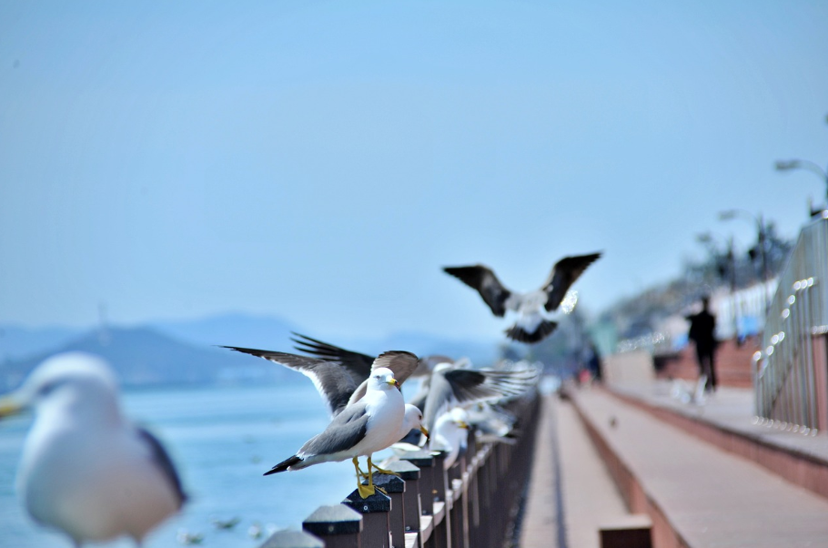 목포 여행지 사진