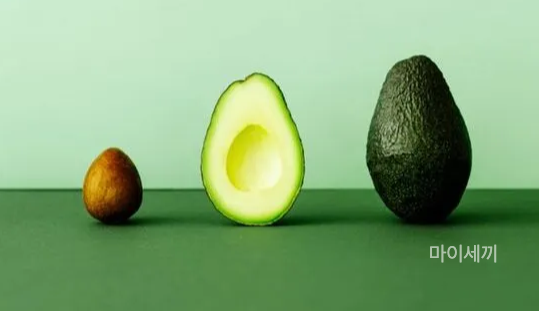 반쪽 아보카도 칼로리