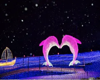 아침고요수목원 오색별빛정원전_23