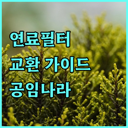 연료필터 교환, 공임나라에서 합리적인