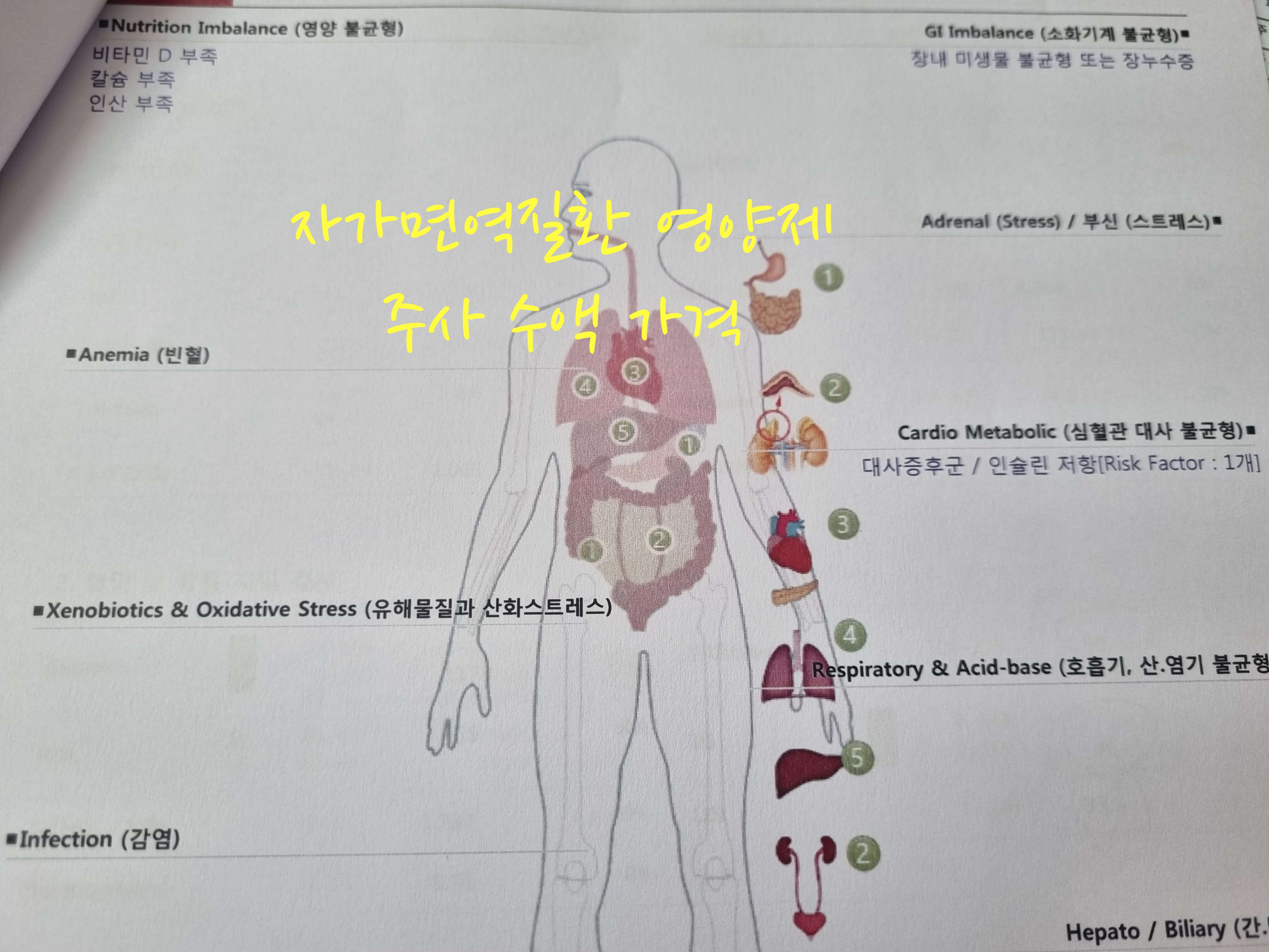 자가면역질환 영양제