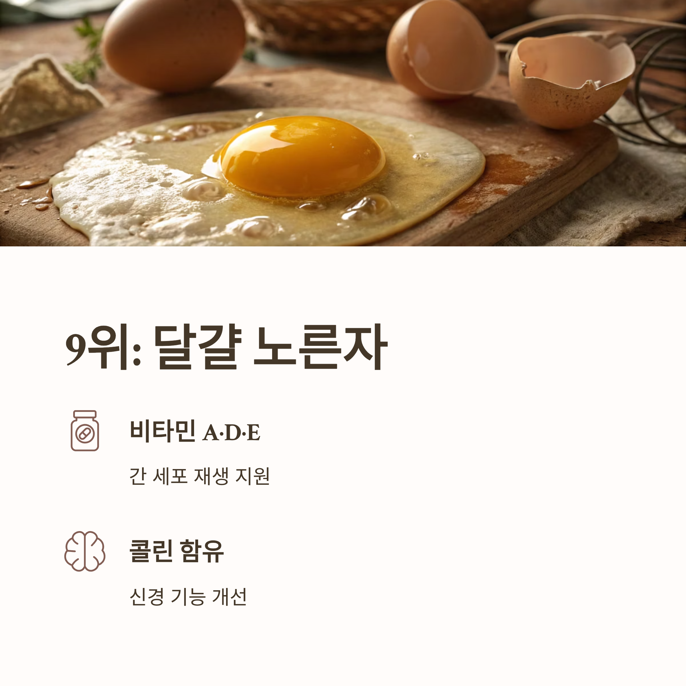 알부민 많은 음식 10가지|간 건강·면역력·부종 개선에 좋은 고단백 식단 총정리