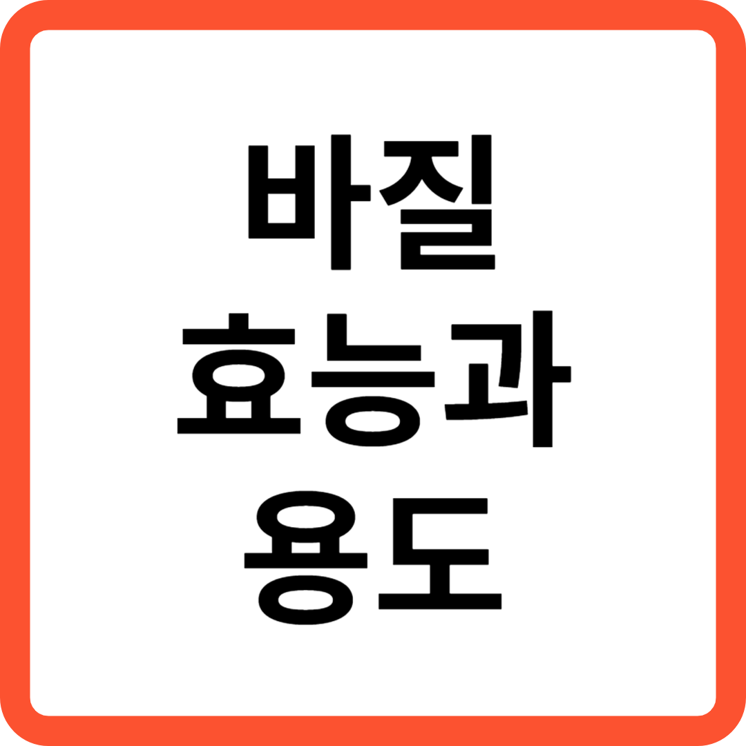 바질 효능과 용도