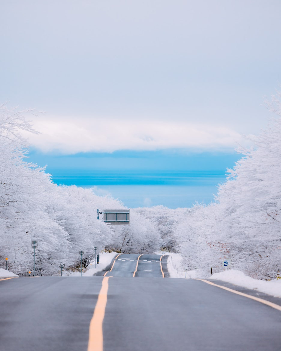 제주 겨울 여행 1100도로