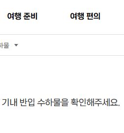 비행기 기내 반입 금지 가능 물품