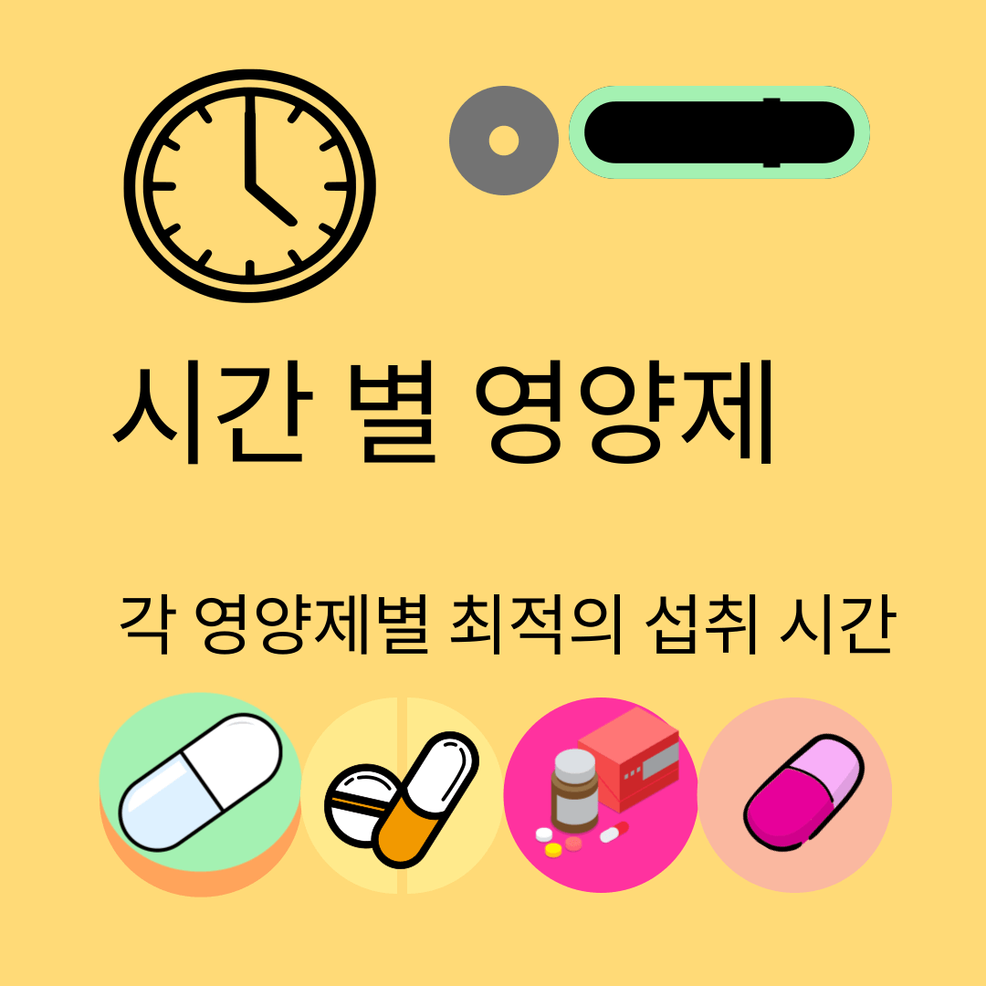시간 별 영양제