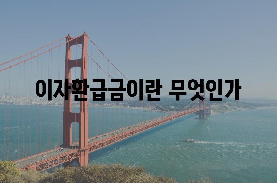 이자환급금이란 무엇인가