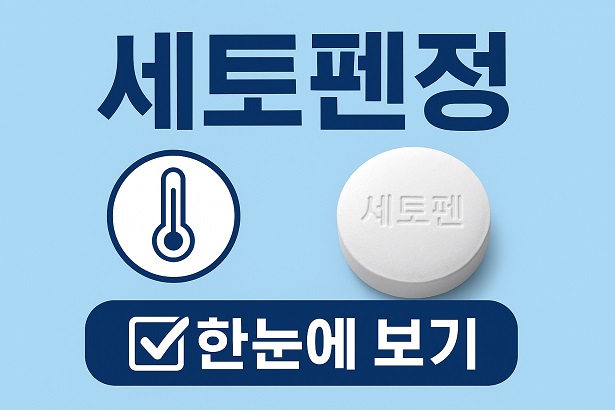 세토펜정 한눈에 보기