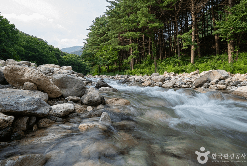 포천 지장산계곡
