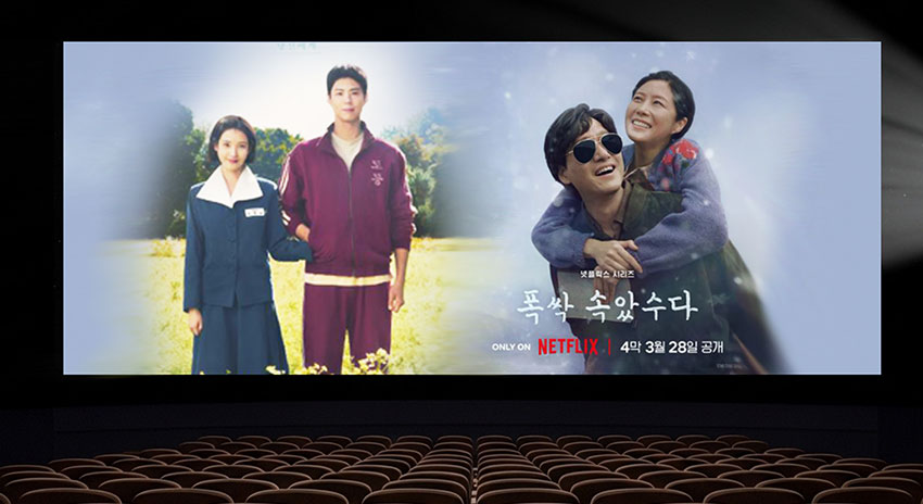 폭싹 속았수다 넷플릭스 인기 드라마