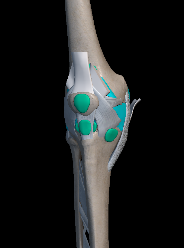 무릎 염증 원인