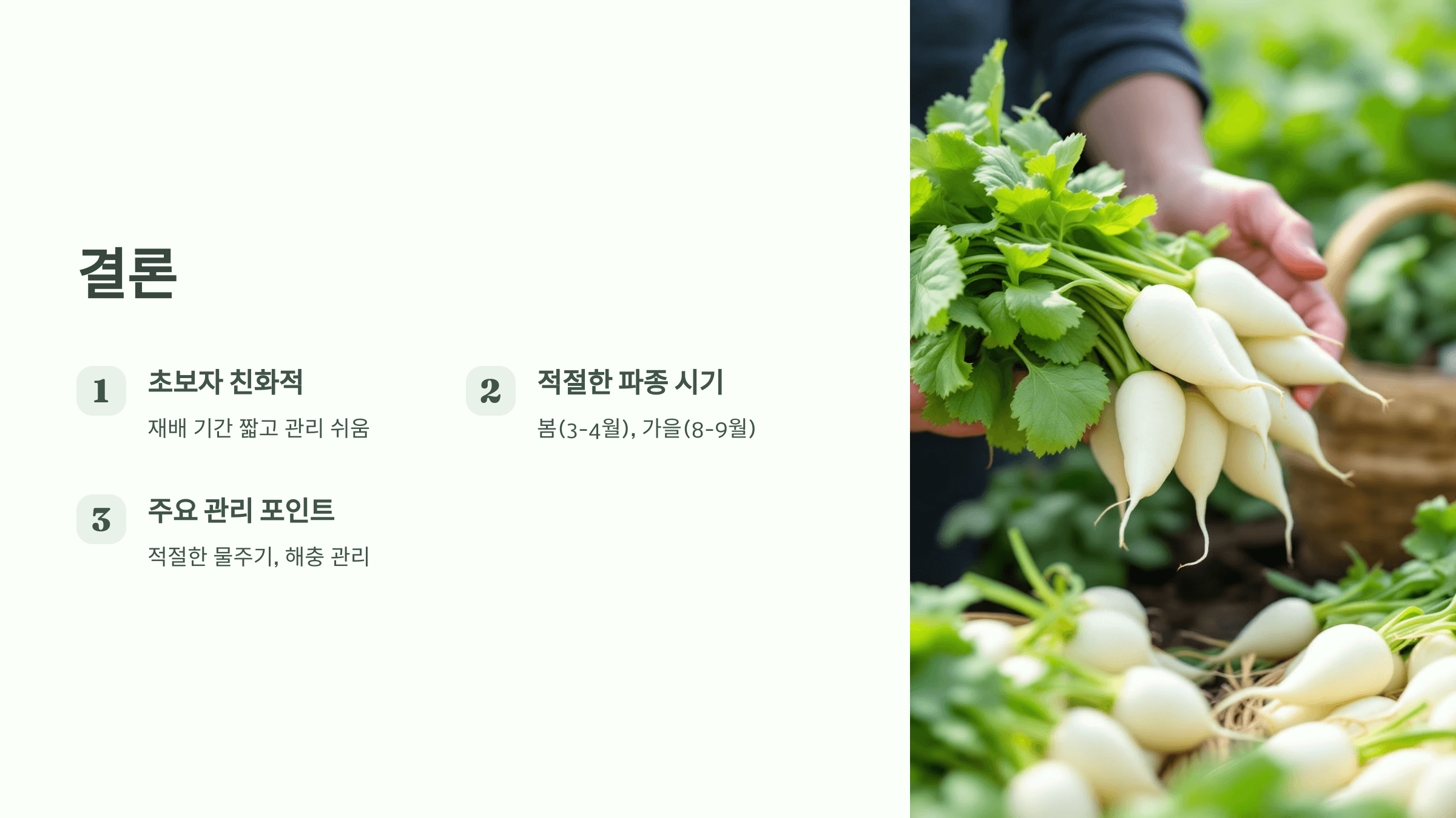 열무 사진입니다.