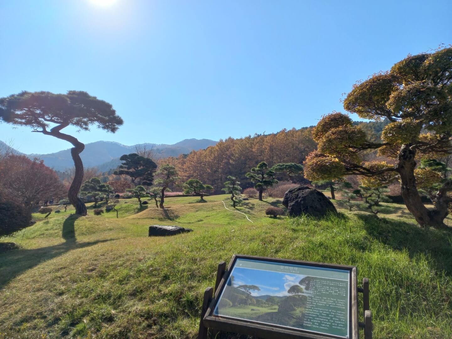 아침고요 수목원 겨울