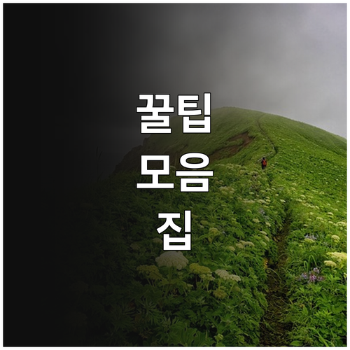 2025 안양시 두루두루 도서 배달 ..