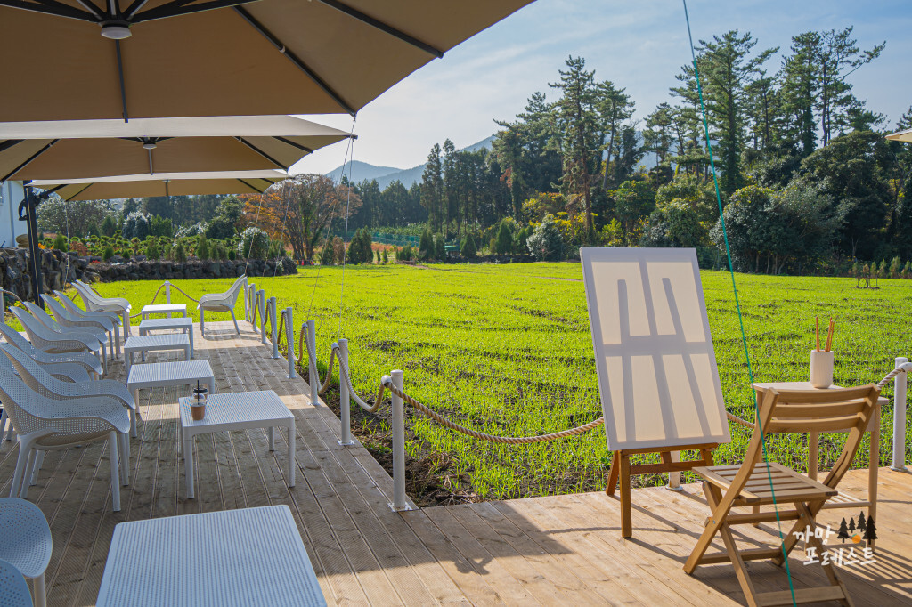 비케이브 포토존