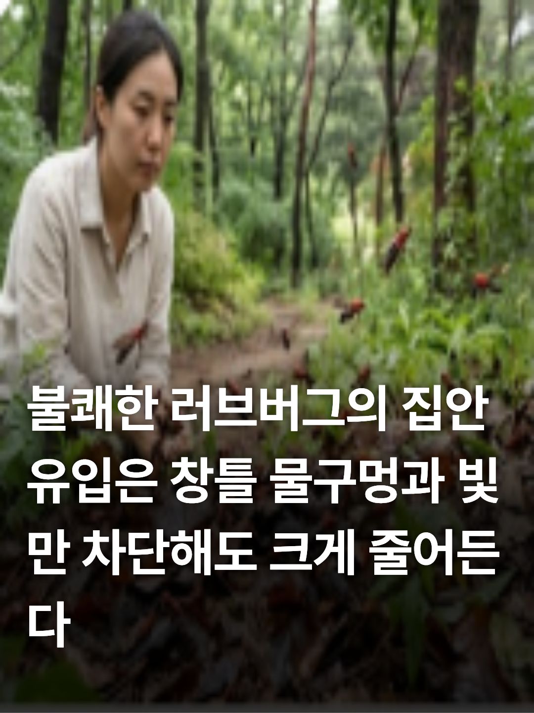 러브 버그 출몰시기