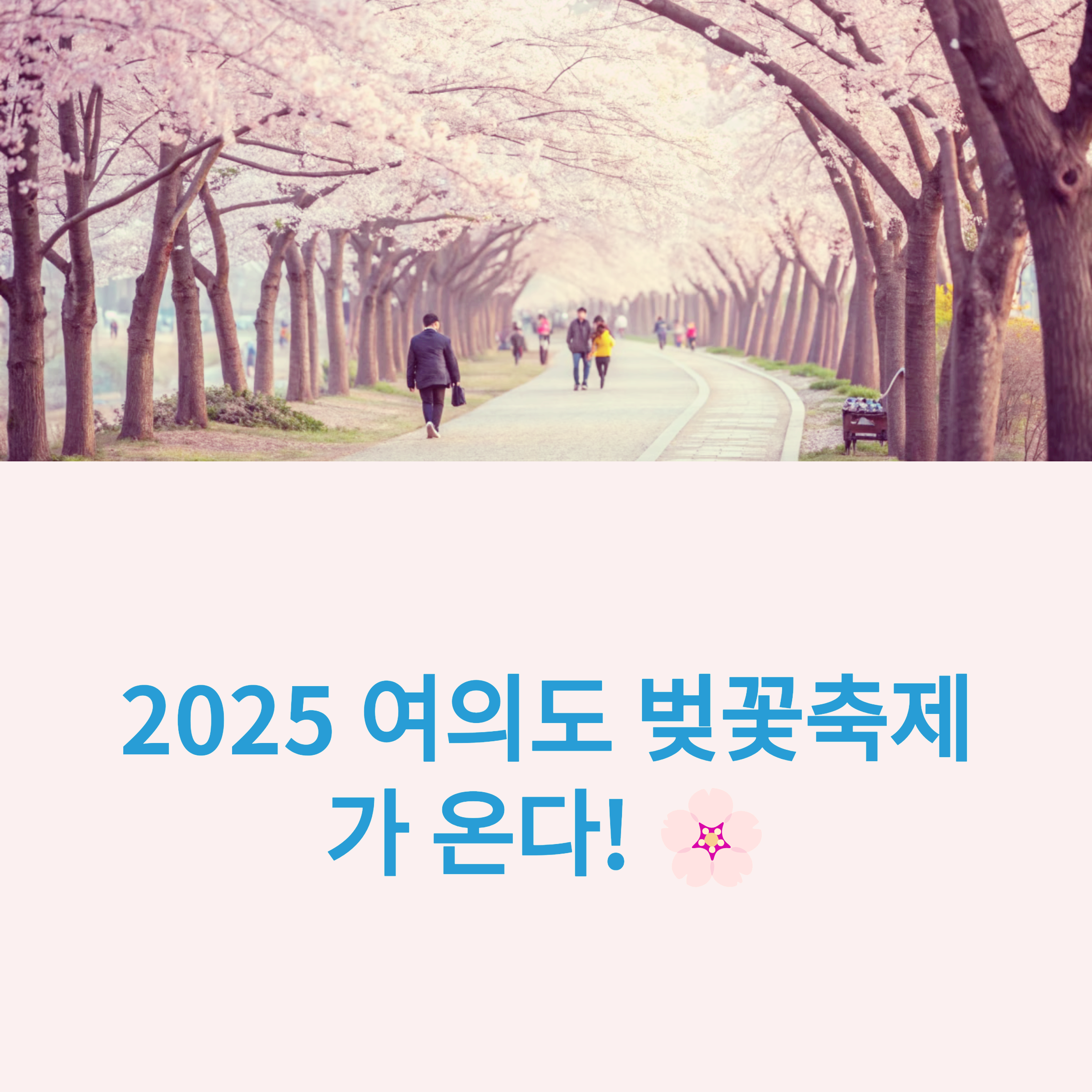 여의도 벚꽃축제 4월 1일 시작! 포토존 위치와 데이트 코스 공개 썸네일 이미지