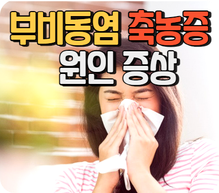 부비동염 축농증