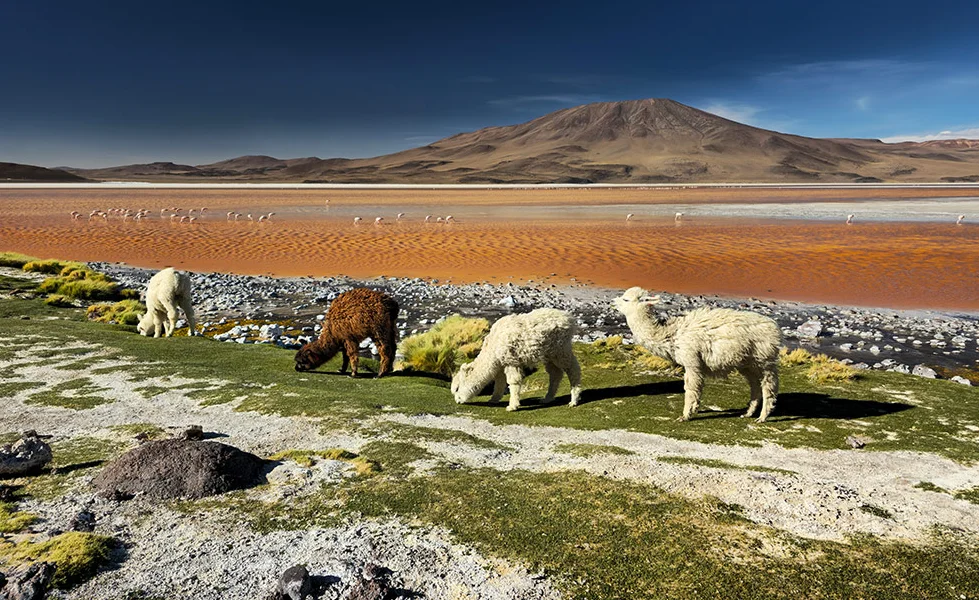 갤럭시 S24 울트라 카메라