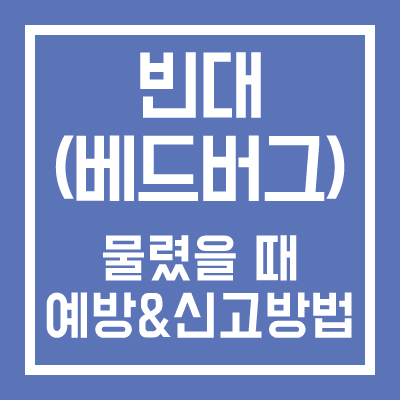 빈대 물렸을때 예방 및 신고방법