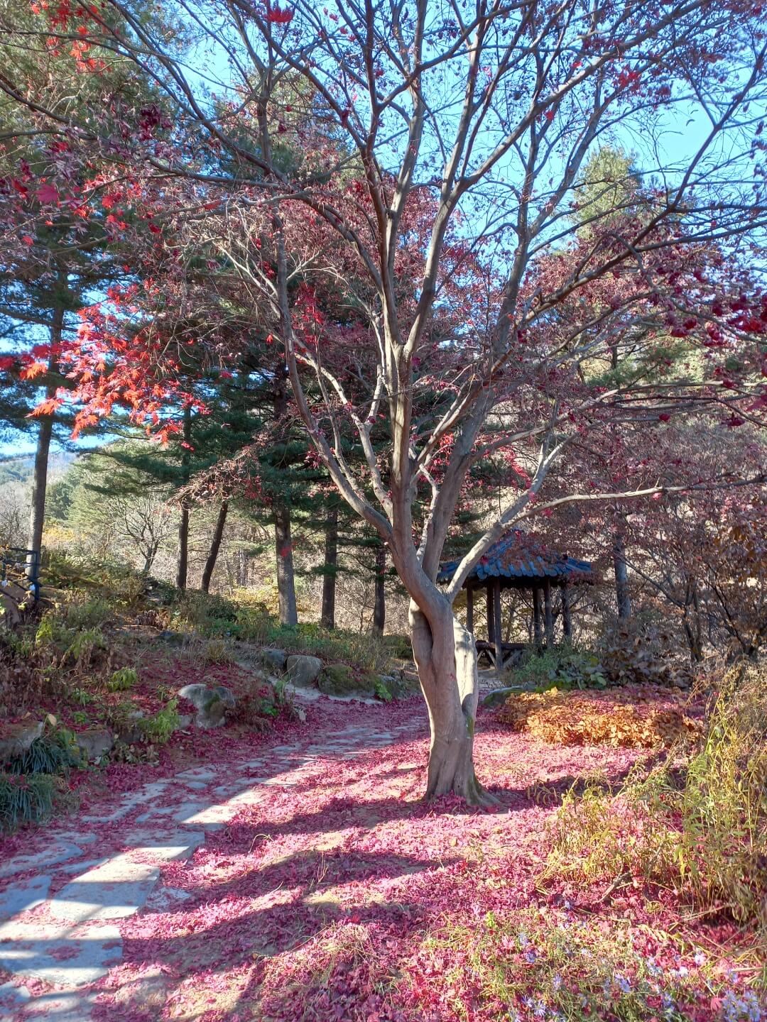 국내 겨울 여행지 추천