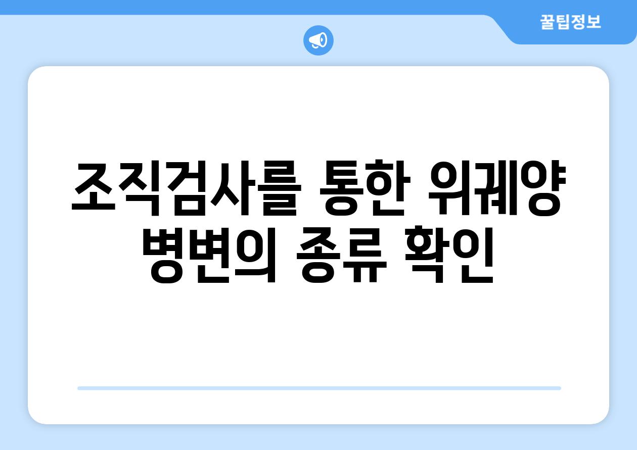 조직검사를 통한 위궤양 병변의 종류 확인