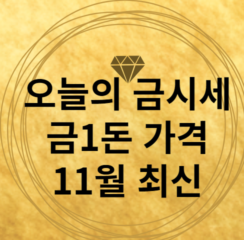 11월 최신 오늘의 금시세