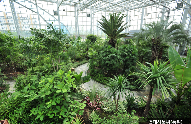 한밭수목원 명소 10선2