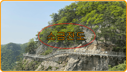 원주 출렁다리 가는길