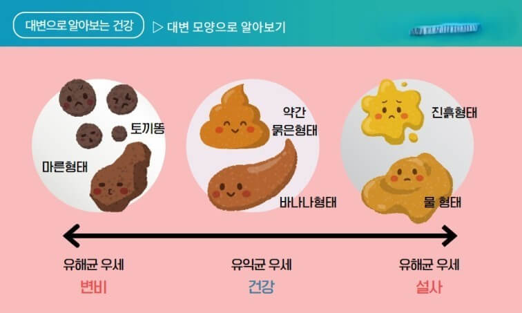 건강한 장