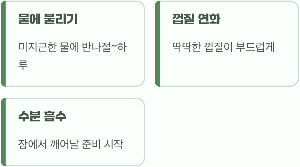 딱딱한 껍질을 여는 첫 단계