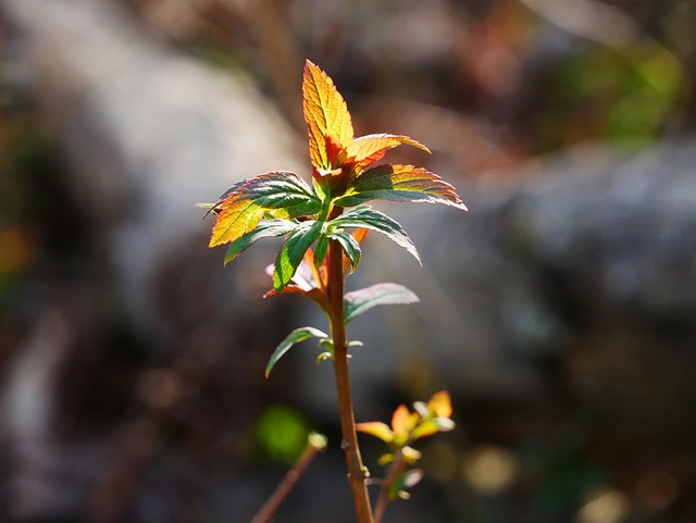 탄소중립포인트 가입 방법
