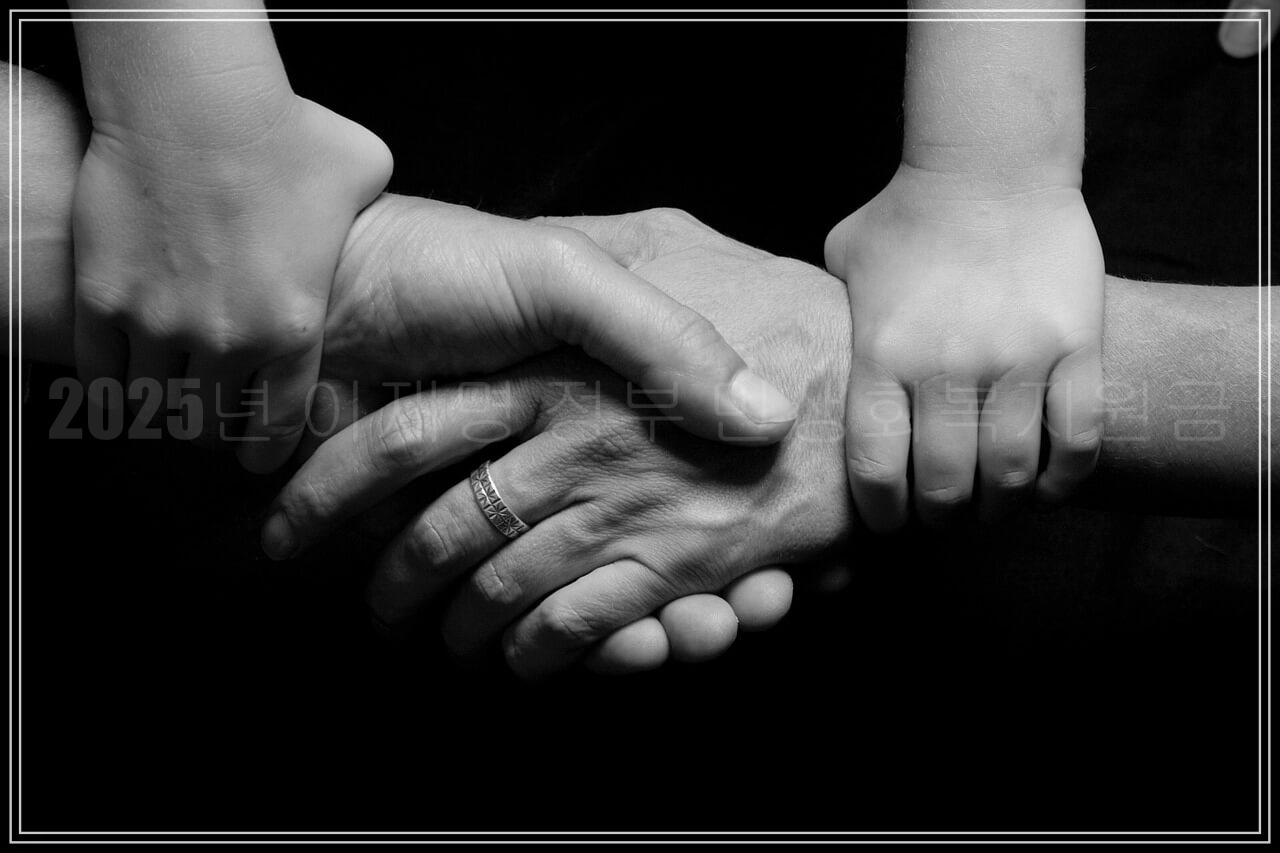 2025년 이재명 정부 민생회복지원금 최신 정보 총정리,