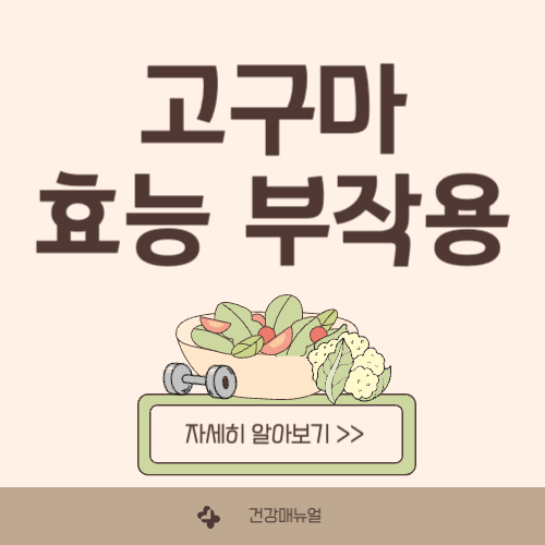 고구마 효능 부작용 알아보기