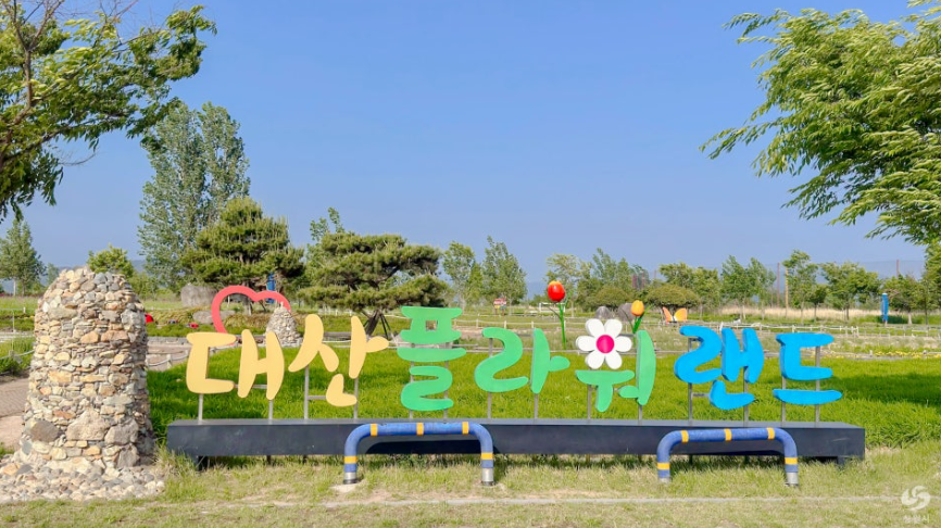 창원 대산플라워랜드 꽃구경 명소, 개화시기부터 주차팁까지 정리!