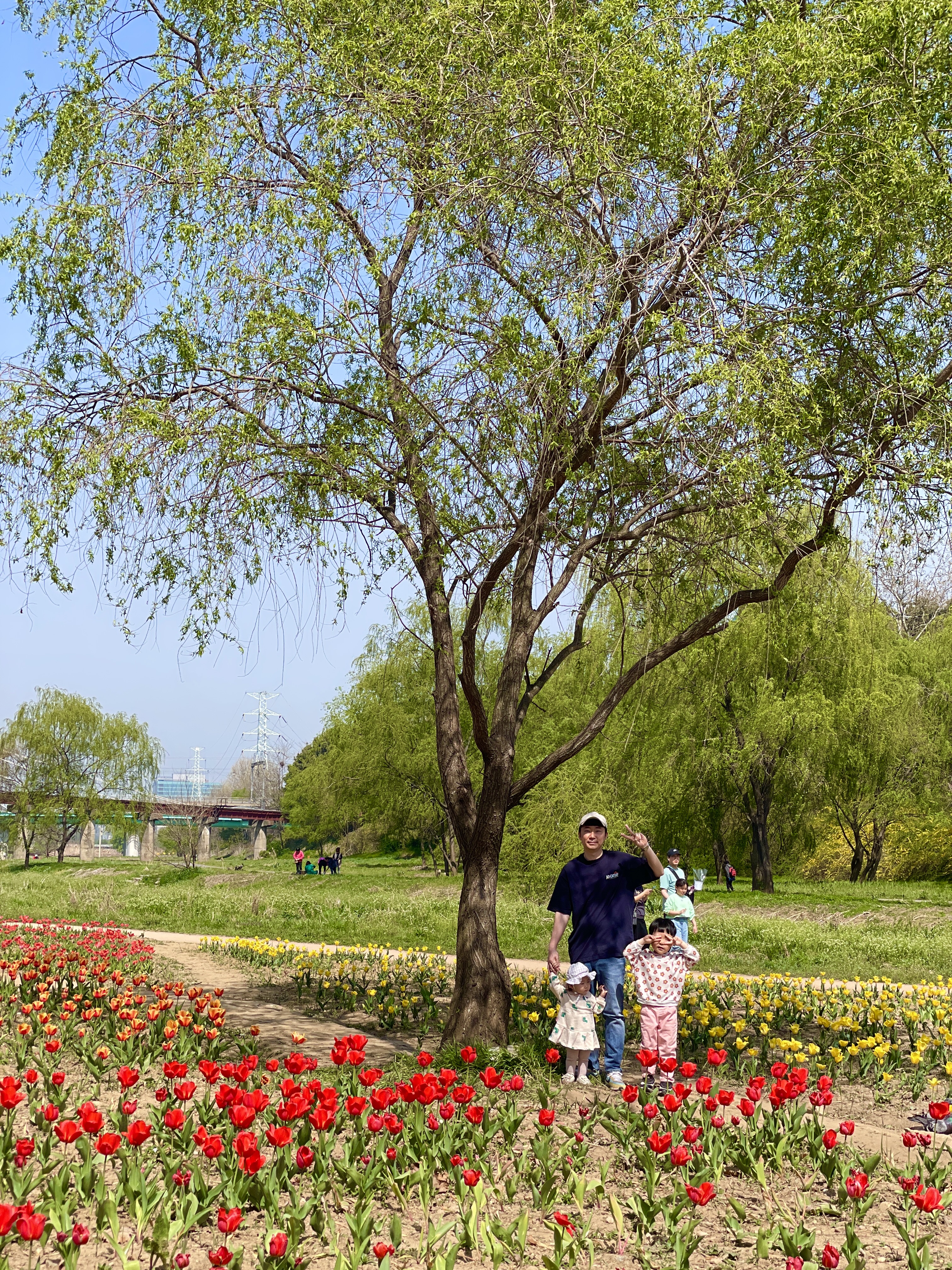 승기천 꽃피나 봄 축제 완벽 가이드