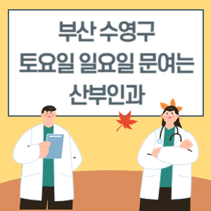 부산 수영구 토요일 일요일 산부인과 진료 병원 리스트