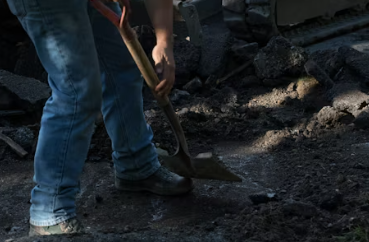 조경기능사에 대하여 알아보기