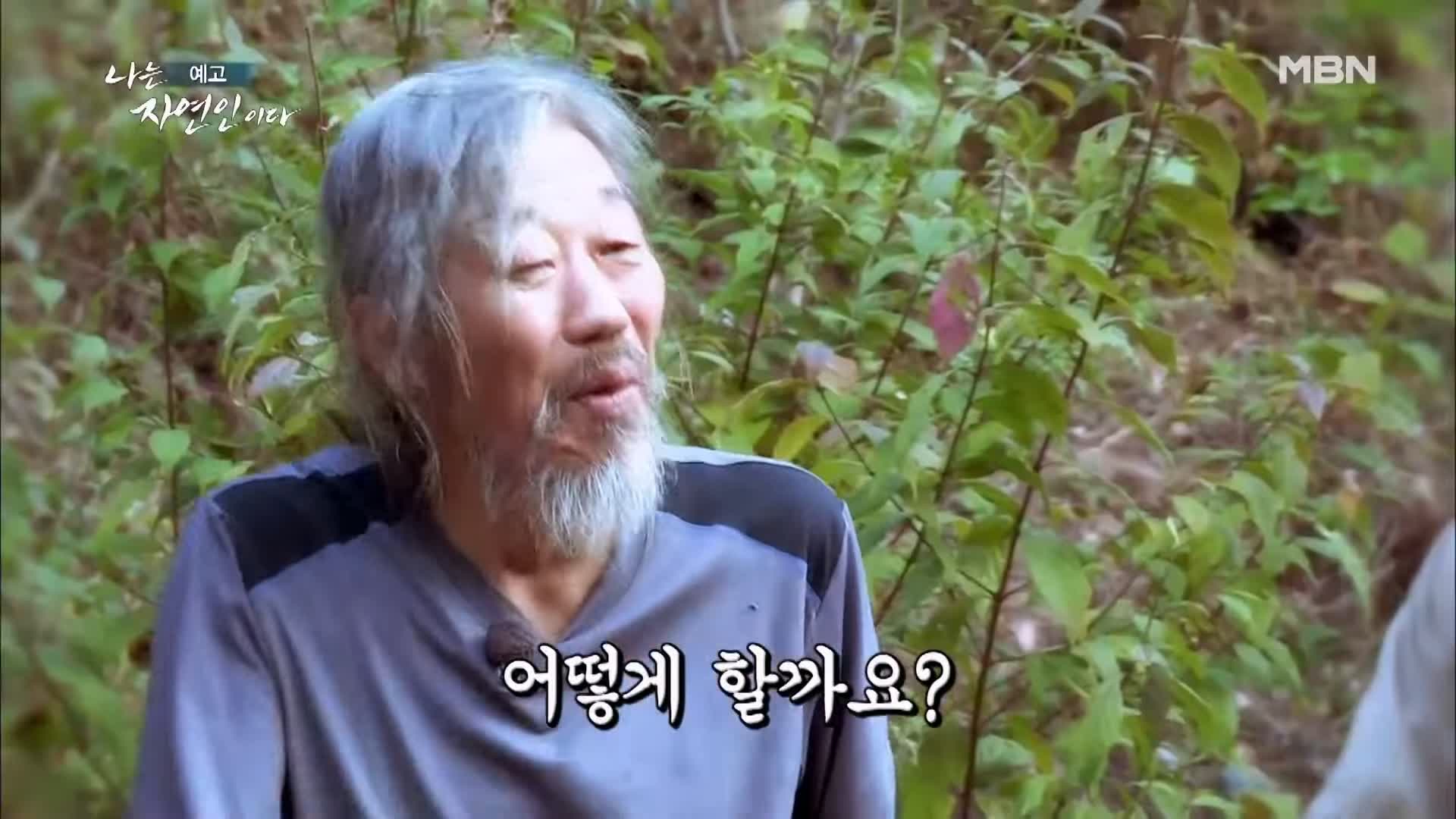이승윤 윤택 나는 자연인이다 내가 산에 사는 재미 하수오 제피 담금주 골쇄보 자연인 배정수 소개 및 출연 529회 다시보기