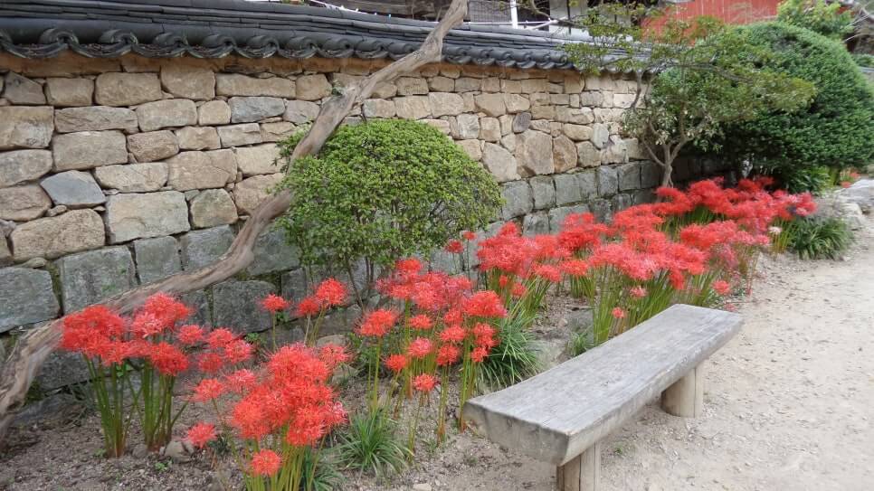 순천 선암사 : 천년의 고요를 간직한 세계문화유산 천년 선맥이 이어지는 조계산의 고찰