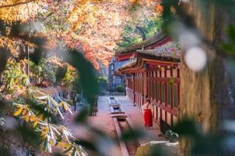후쿠오카 온천 여행 후쿠오카 여행코스 온천 숙소 BEST 5