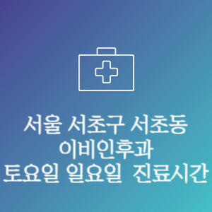 서울 서초구 서초동 이비인후과 주말 토요일 일요일 문여는 병원 진료시간