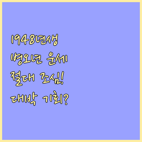2026년 병오년 1948년생 운세 ..