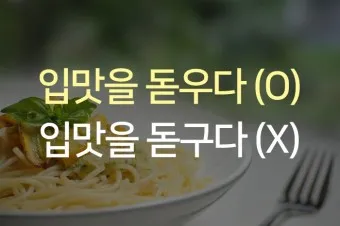 입맛을 돋우다 돋구다 맞춤법 표현 예시_16