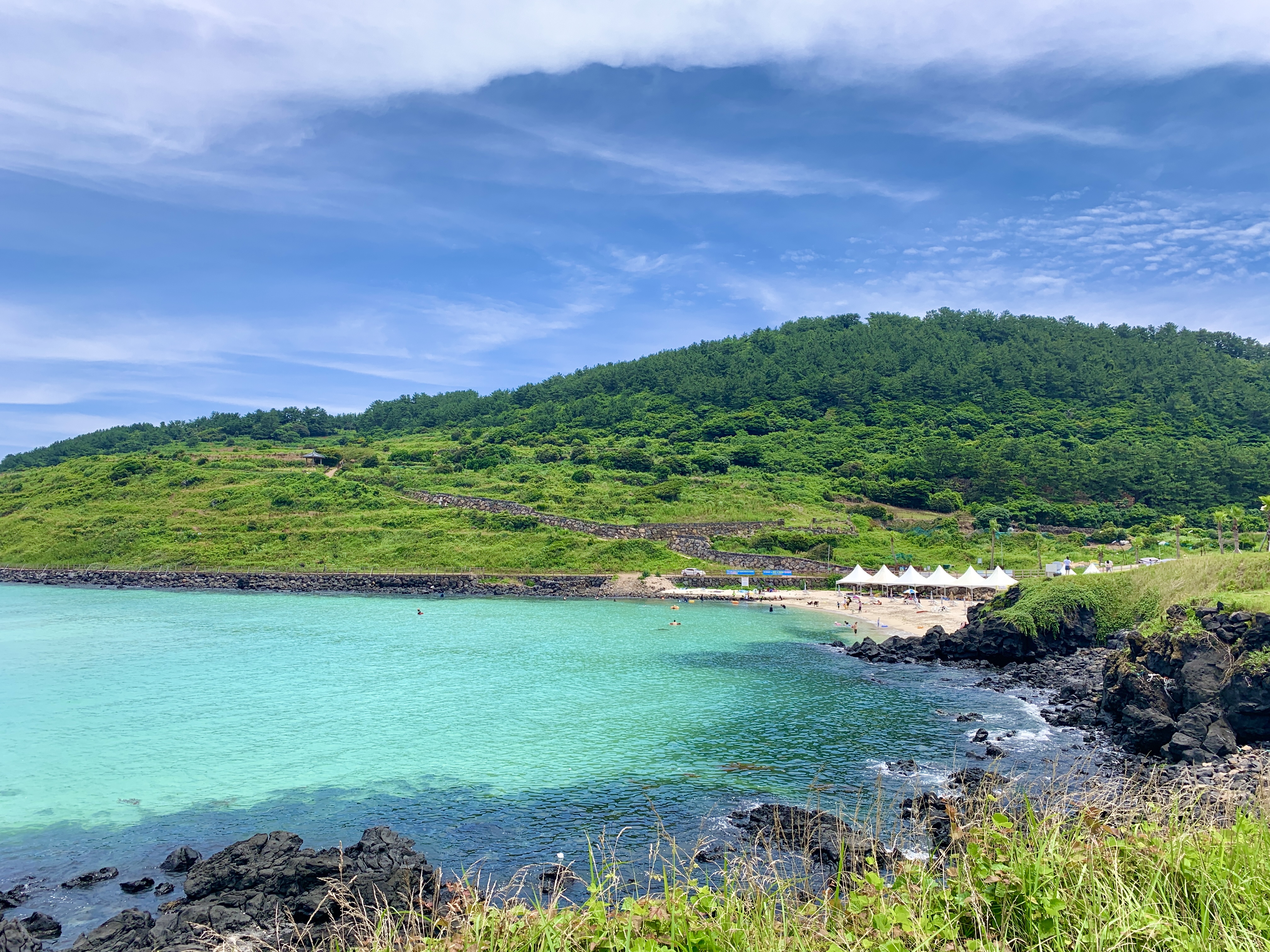 제주도 여행 주차