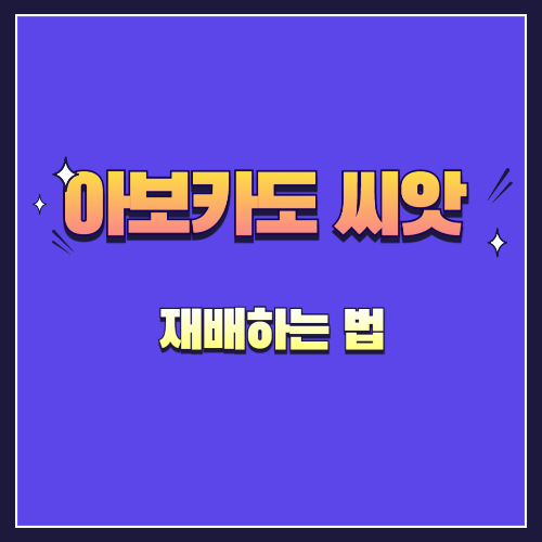 아보카도 씨앗 재배하는 법